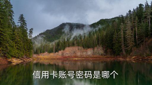 信用卡賬號密碼是哪個