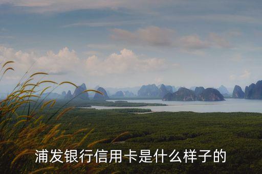 浦發(fā)信用卡有什么樣子，浦發(fā)銀行VISA和銀聯(lián)雙幣信用卡是什么樣子的最好有正反面照片