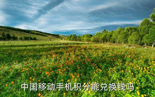 中國移動(dòng)手機(jī)積分能兌換錢嗎