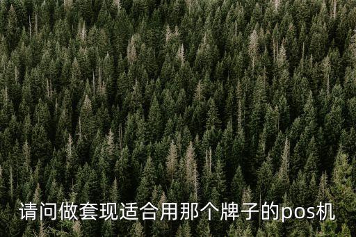 請問做套現(xiàn)適合用那個牌子的pos機(jī)