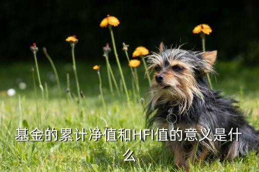 基金的累計(jì)凈值和HFI值的意義是什么