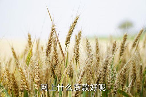 網(wǎng)上貸款什么好貸款，網(wǎng)上什么貸款好呢