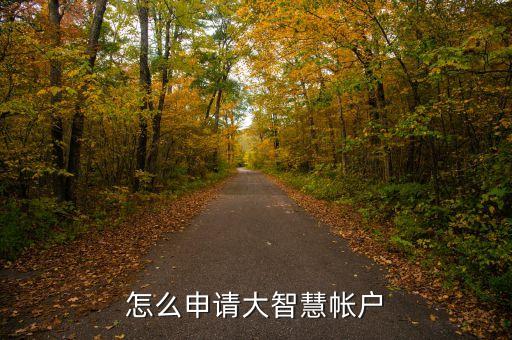 怎么申請大智慧帳戶
