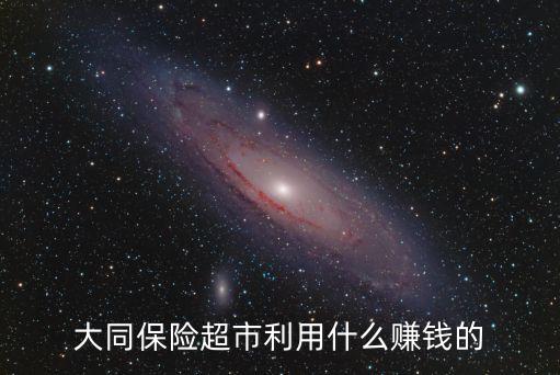 大同保險超市利用什么賺錢的