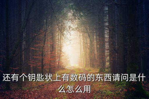 還有個(gè)鑰匙狀上有數(shù)碼的東西請問是什么怎么用