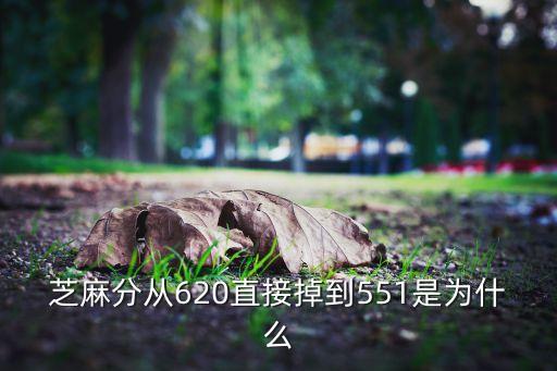 芝麻分為什么掉了，芝麻分從620直接掉到551是為什么