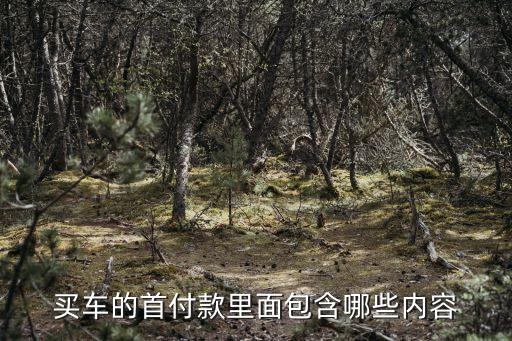 買車的首付款里面包含哪些內(nèi)容