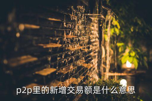 p2p里的新增交易額是什么意思