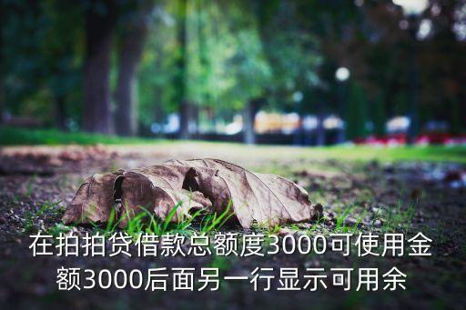在拍拍貸借款總額度3000可使用金額3000后面另一行顯示可用余