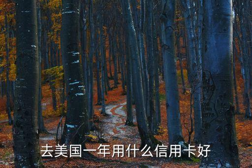 去美國(guó)一年用什么信用卡好