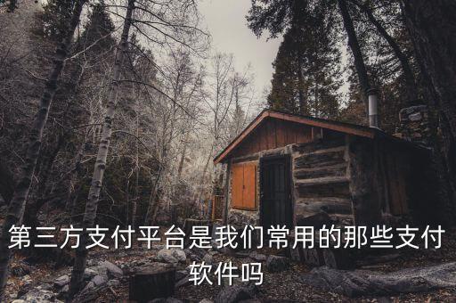 第三方支付平臺(tái)是我們常用的那些支付軟件嗎