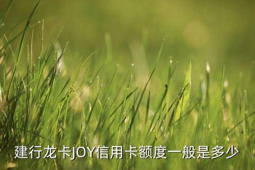 建行龍卡JOY信用卡額度一般是多少