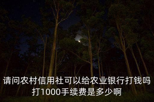 請問農(nóng)村信用社可以給農(nóng)業(yè)銀行打錢嗎打1000手續(xù)費(fèi)是多少啊