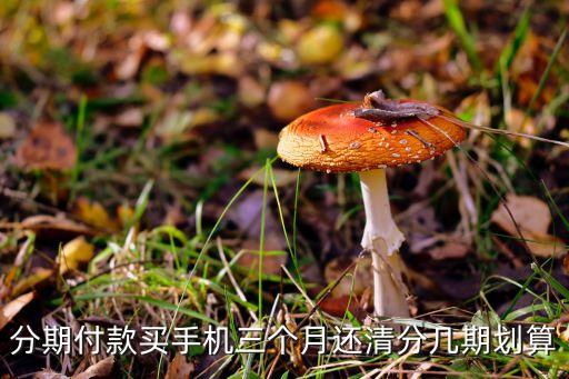 手機(jī)分期付款多少合適，分期付款買手機(jī)三個月還清分幾期劃算