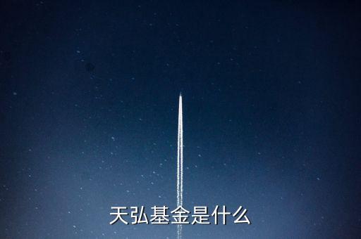 天弘基金是什么
