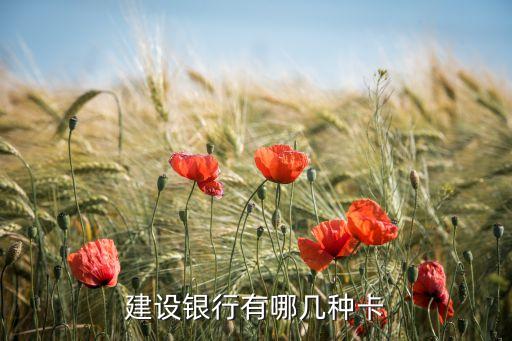 建設(shè)銀行有哪幾種卡