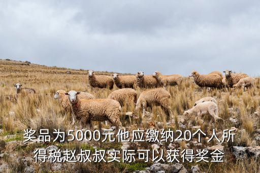 獎(jiǎng)品為5000元他應(yīng)繳納20個(gè)人所得稅趙叔叔實(shí)際可以獲得獎(jiǎng)金