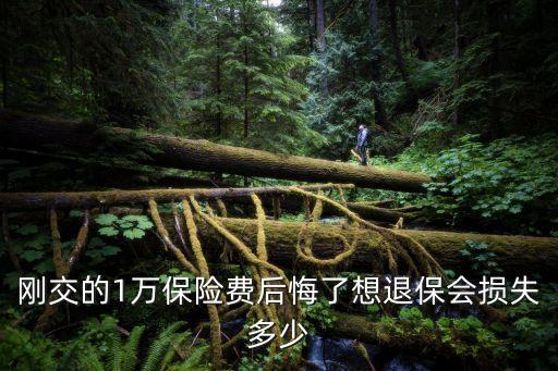 剛交的1萬保險費后悔了想退保會損失多少