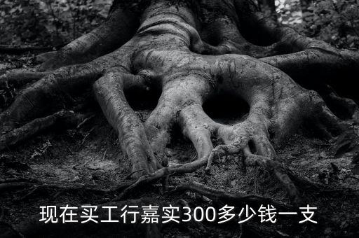 現(xiàn)在買工行嘉實(shí)300多少錢一支