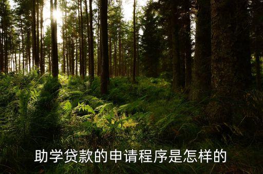 助學(xué)貸款的申請(qǐng)程序是怎樣的