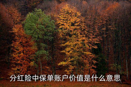 分紅險中保單賬戶價值是什么意思