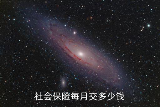 社會(huì)保險(xiǎn)每月交多少錢