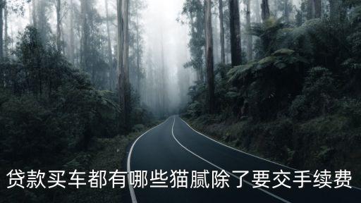 貸款買車都有哪些貓膩除了要交手續(xù)費
