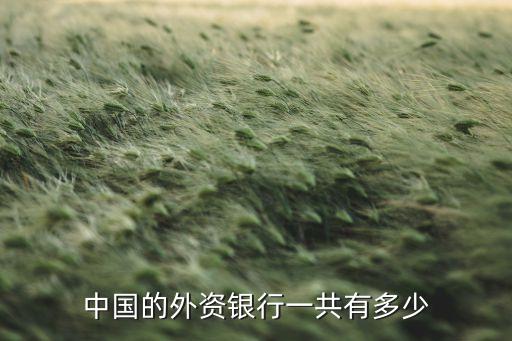 國內(nèi)有多少家外資銀行，2013年中國有多少家外資銀行
