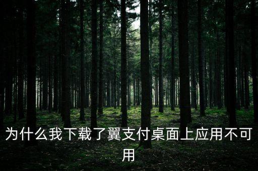 為什么我下載了翼支付桌面上應(yīng)用不可用