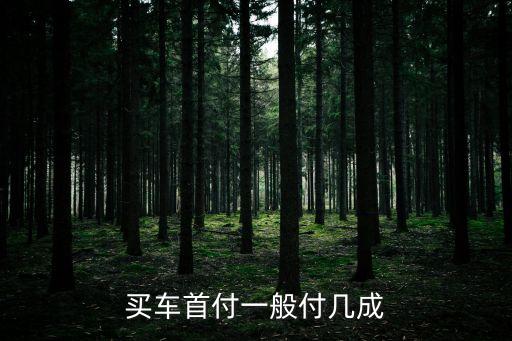 買車首付一般付幾成
