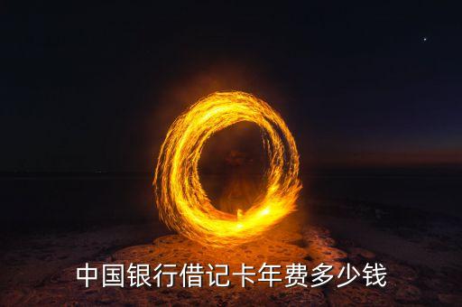 中國銀行借記卡年費(fèi)多少錢