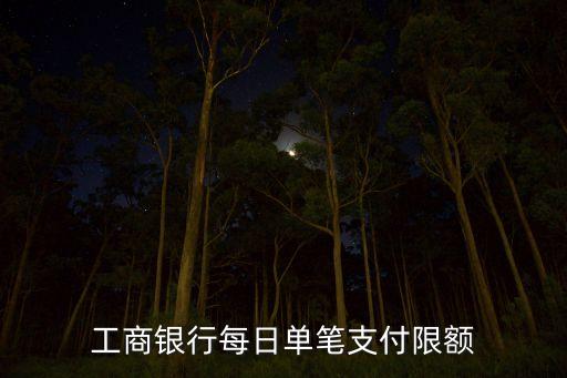 銀行卡單次消費限額是多少，工商銀行每日單筆支付限額