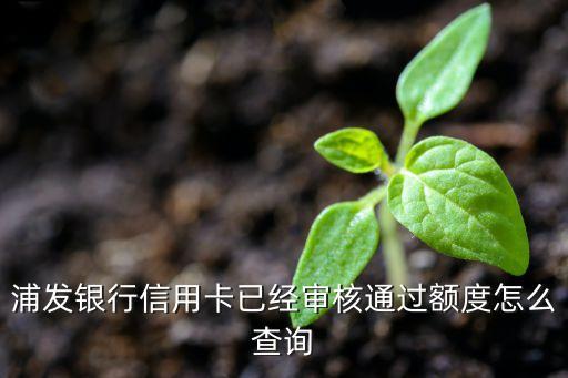 剛申請的浦發(fā)信用卡怎么查額度是多少錢，浦發(fā)銀行信用卡已經(jīng)審核通過額度怎么查詢