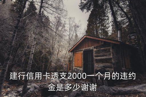 建行信用卡透支2000一個月的違約金是多少謝謝