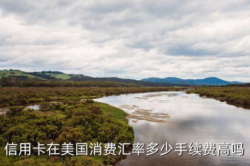 信用卡在美國消費(fèi)匯率多少手續(xù)費(fèi)高嗎