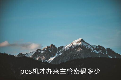 pos機才辦來主管密碼多少