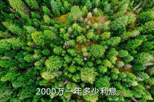 2000萬一年多少利息