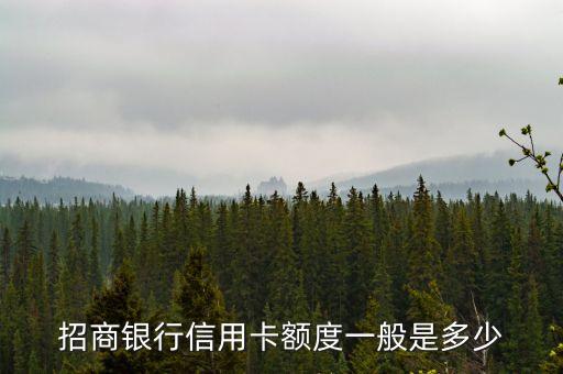 辦了招商的信用卡額度的信用卡額度是多少錢，招商銀行信用卡辦下來一般都能刷多少錢我是在網(wǎng)上申請的