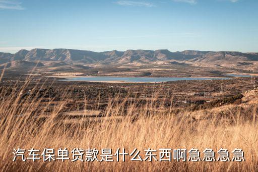 保單貸需要些什么，汽車保單貸款是什么東西啊急急急急