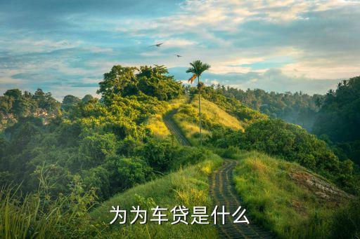 為為車貸是什么