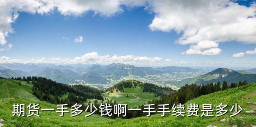 期貨費用多少，目前的期貨的手續(xù)費是怎么樣的