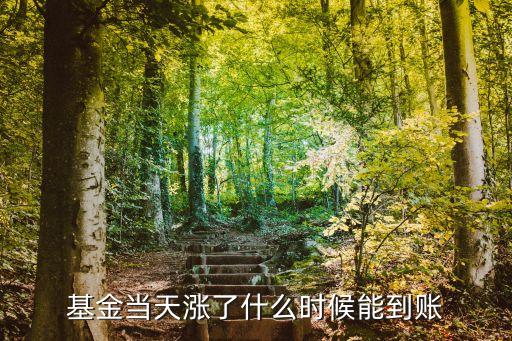 基金當(dāng)天漲了什么時(shí)候能到賬