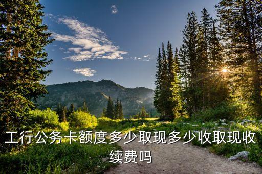公務(wù)員卡額度是多少，工商銀行公務(wù)卡額度一般多少