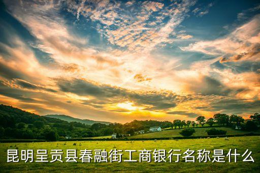 中國(guó)工商銀行什么支行名稱，中國(guó)工商銀行開戶行支行名稱請(qǐng)大家為我講解下