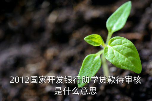 2012國家開發(fā)銀行助學(xué)貸款待審核是什么意思