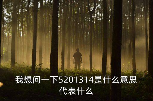 我想問一下5201314是什么意思代表什么