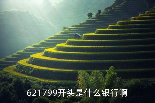 621799是什么行，621799開(kāi)頭是什么銀行啊