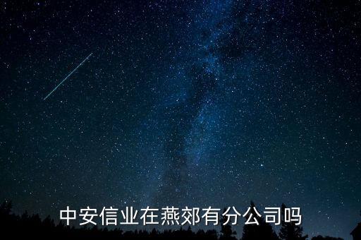 中安信業(yè)在燕郊有分公司嗎