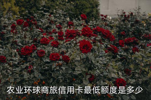 農(nóng)行東航聯(lián)名卡額度一般多少錢，東方航空銀聯(lián)普卡額度是多少的
