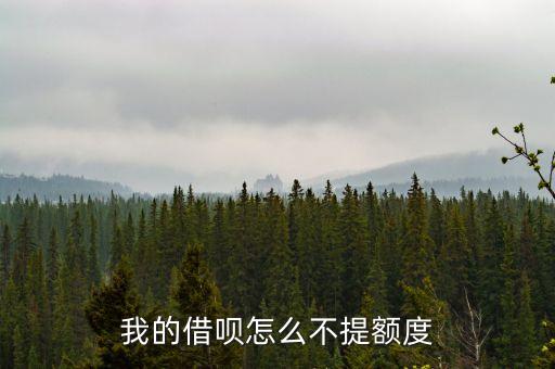 我的借唄怎么不提額度